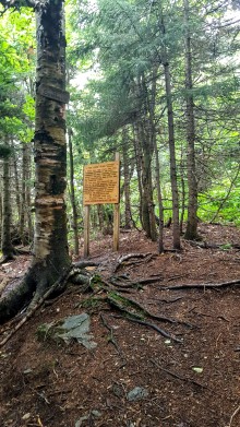 Northern Terminus Long Trail Signage