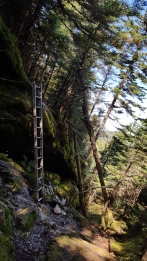 Climbing up out of Ladder Ravine North of Birch Glen Shelter